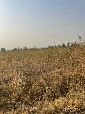 3000 Acres of Land for Sale in Abeokuta North Ogun State