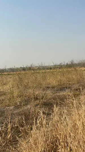 Photo - 3000 Acres of Land for Sale in Abeokuta North Ogun State