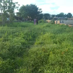 4 Plots of Land, Fenced on a Major Tared Road Adenekan Rd,