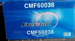100AH Korean Everstart Battery