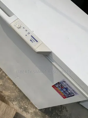 Liebherr 360 Litres Deep Freezer (Thick Body)