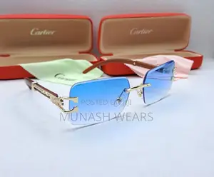 Luxury Cartier Glasses