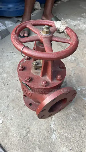 Jis 100 Cast Iron Angle Globe Valve