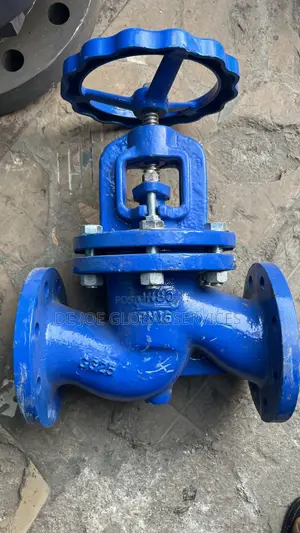 Globe Valve DN80 PN16
