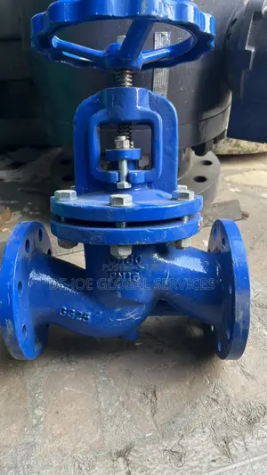 Globe Valve DN80 PN16