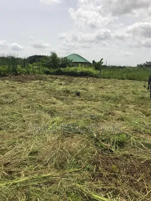50ft By 25ft Starter Plot New Ijegun Festac Link RD