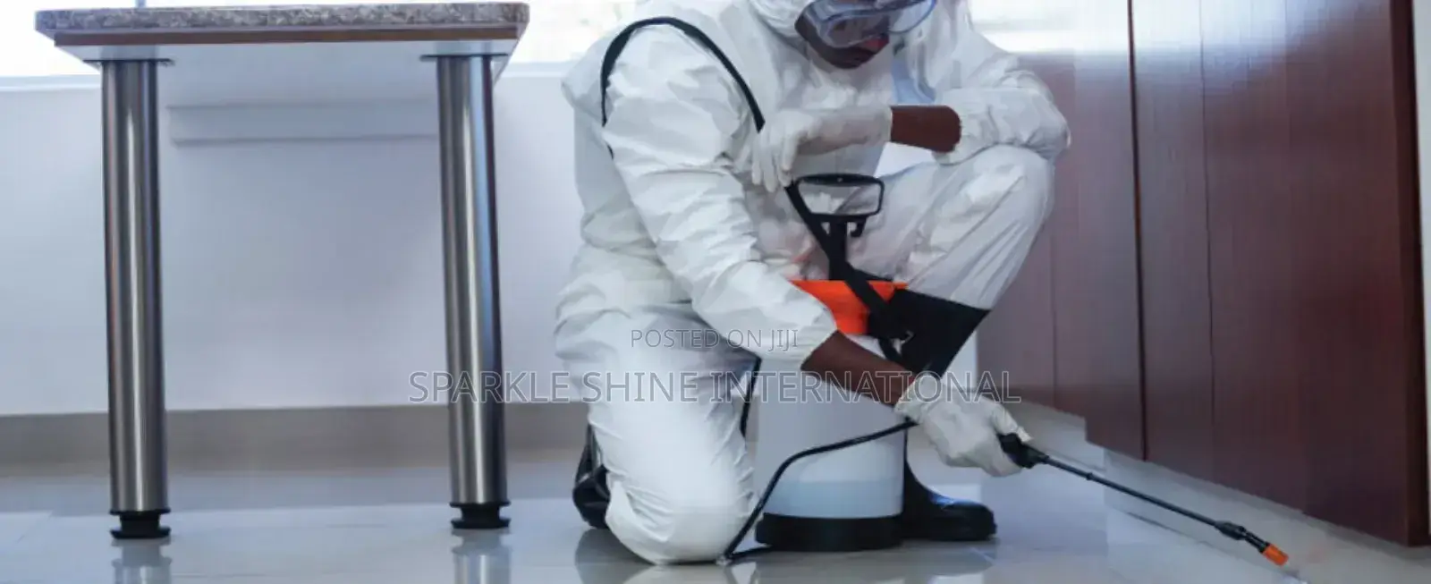 Fumigation and Couch Wash With Rug