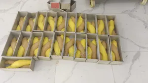 Bakery Consultant
