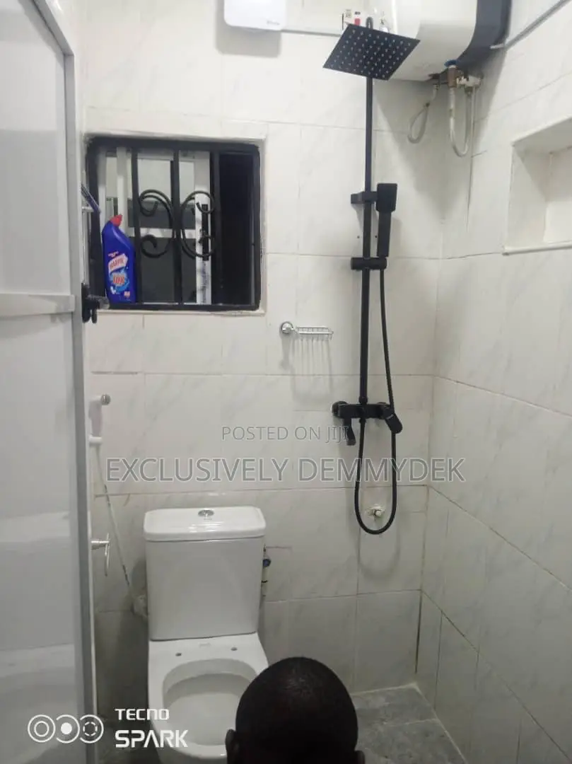 Furnished Mini Flat in Ilupeju for sale