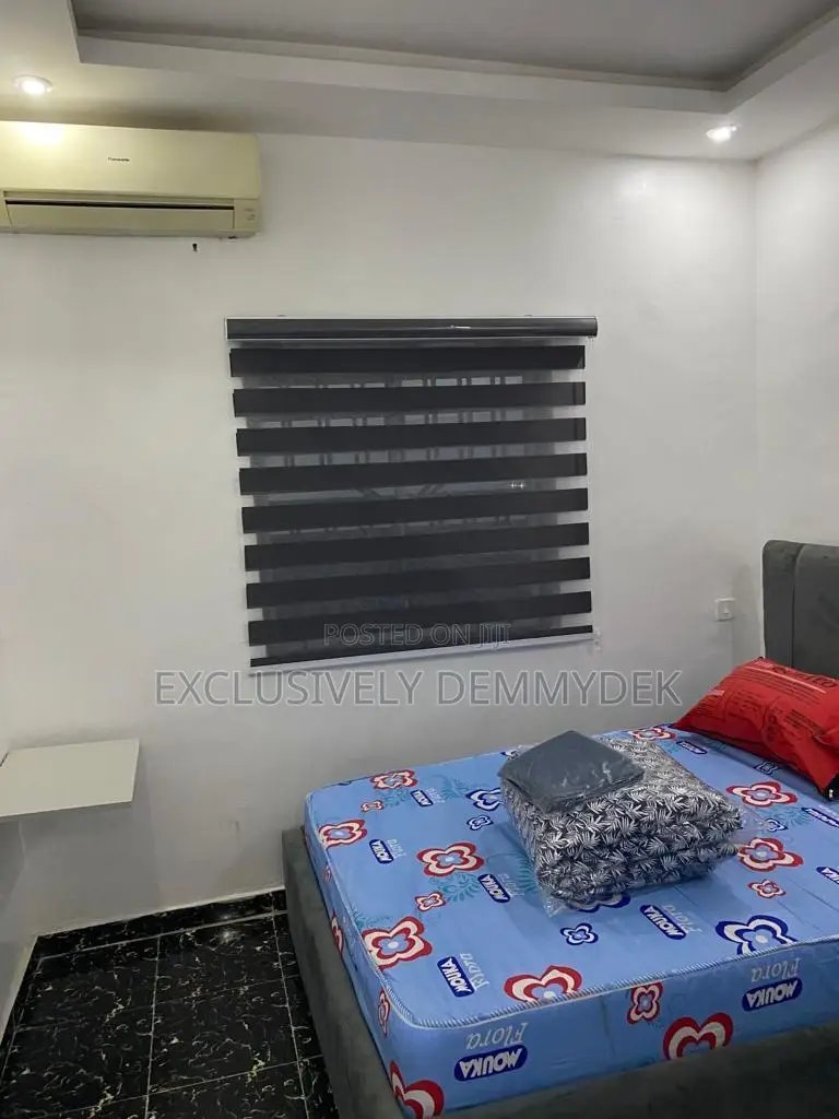 Furnished Mini Flat in Ilupeju for sale