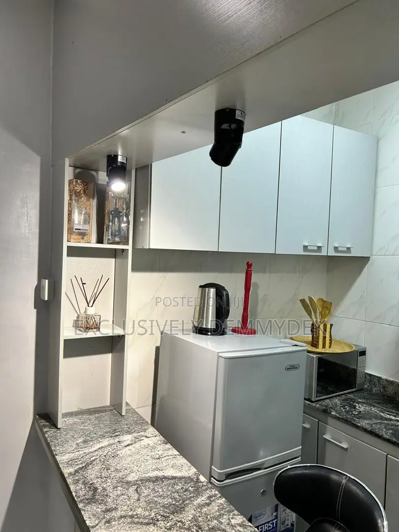 Furnished Mini Flat in Ilupeju for sale