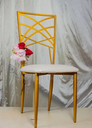 Beautiful Event Chair for Event Use