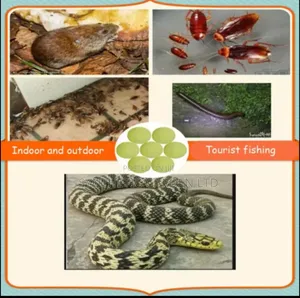 Snake Away