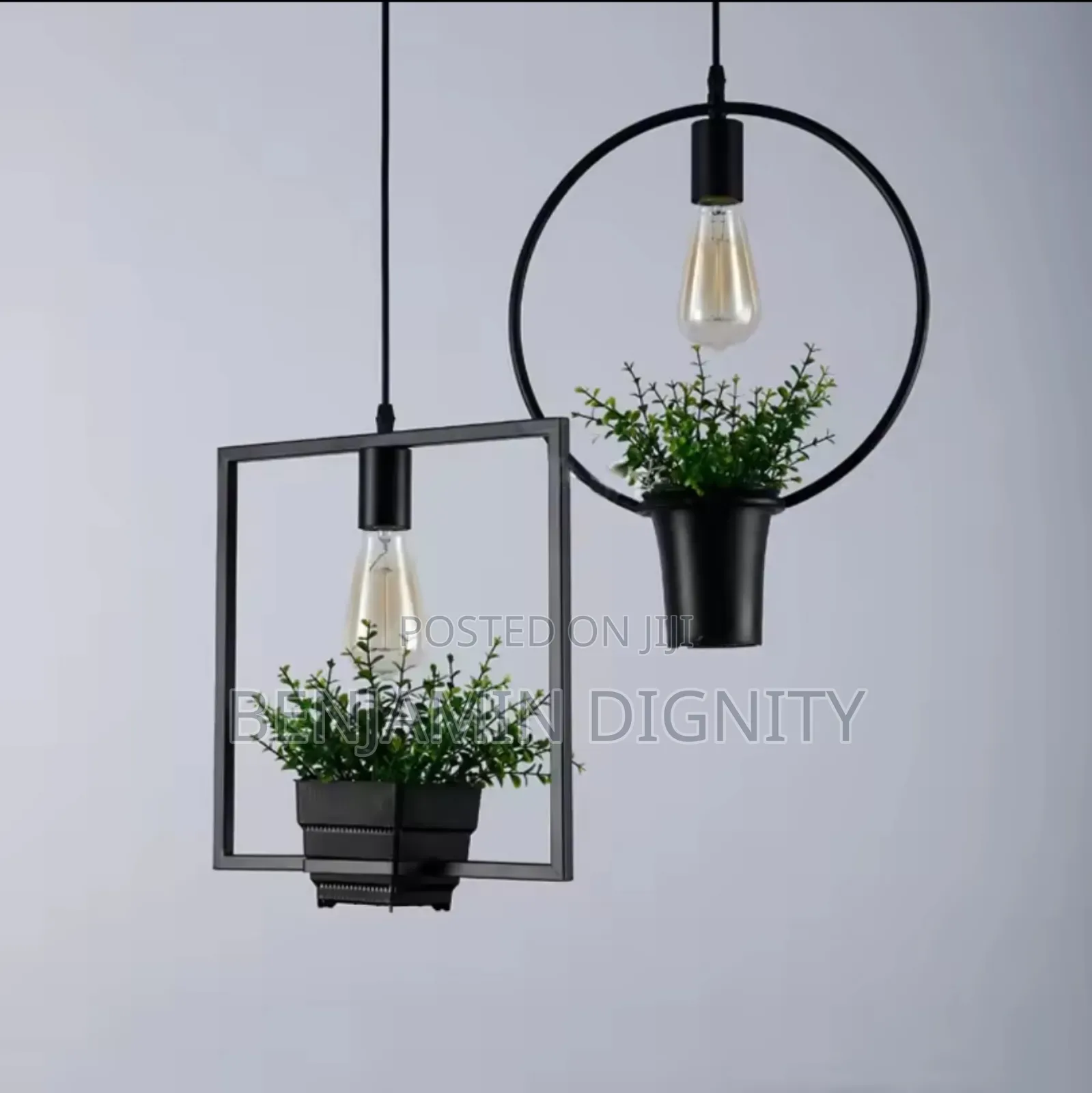 Pendant Light