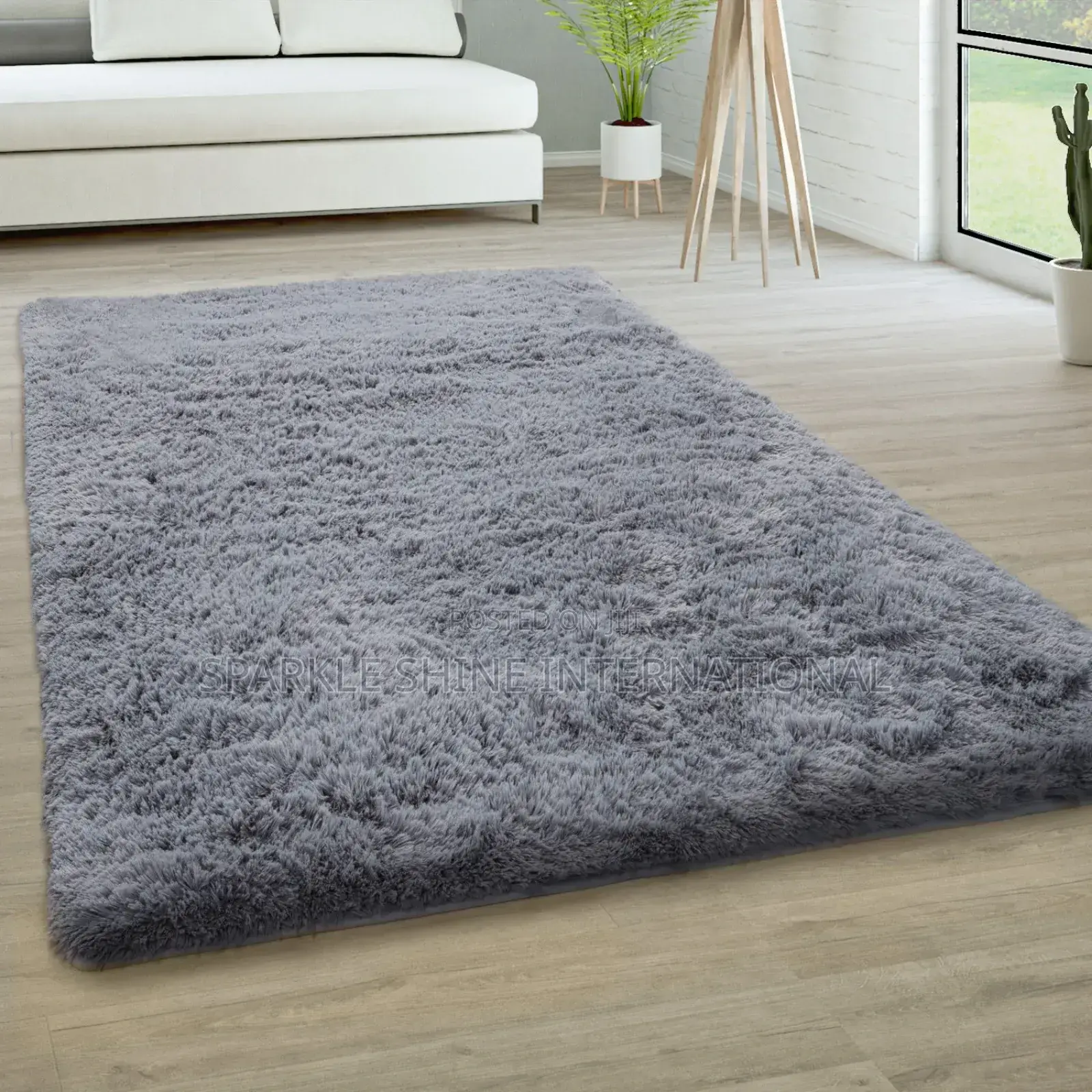 Fumigation and Couch Wash With Rug