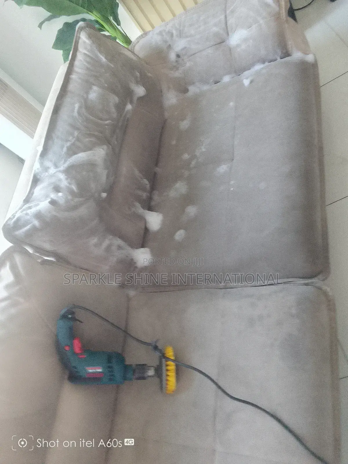 Fumigation and Couch Wash With Rug