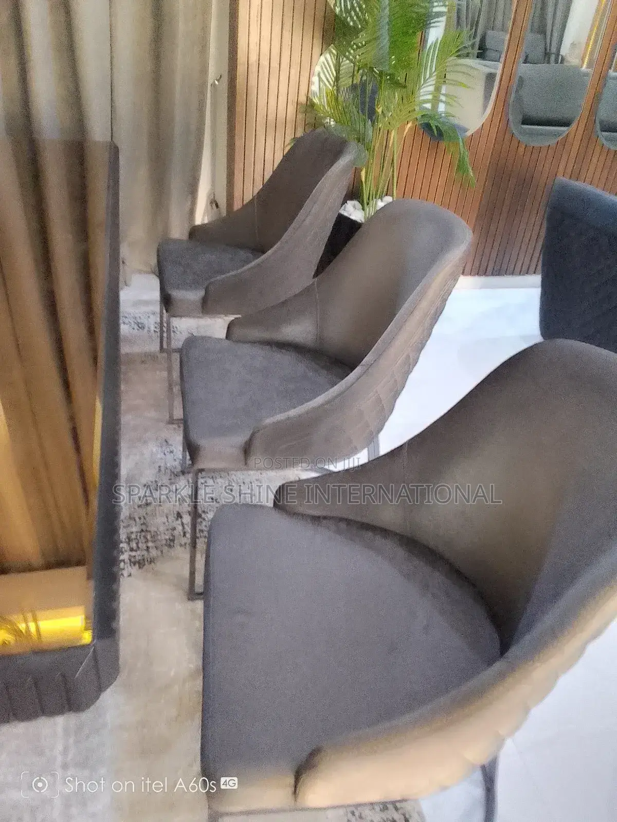 Fumigation and Couch Wash With Rug