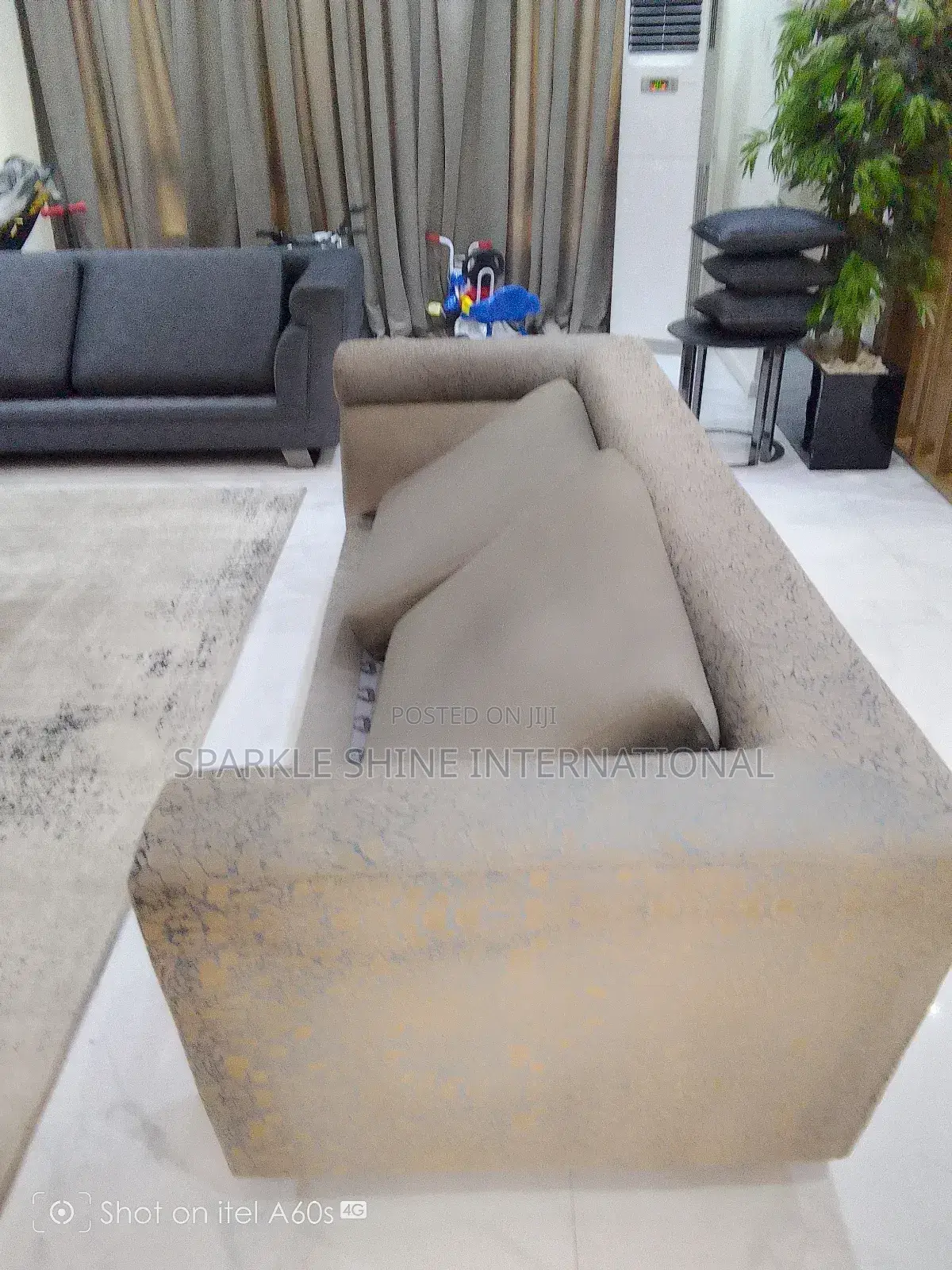Fumigation and Couch Wash With Rug