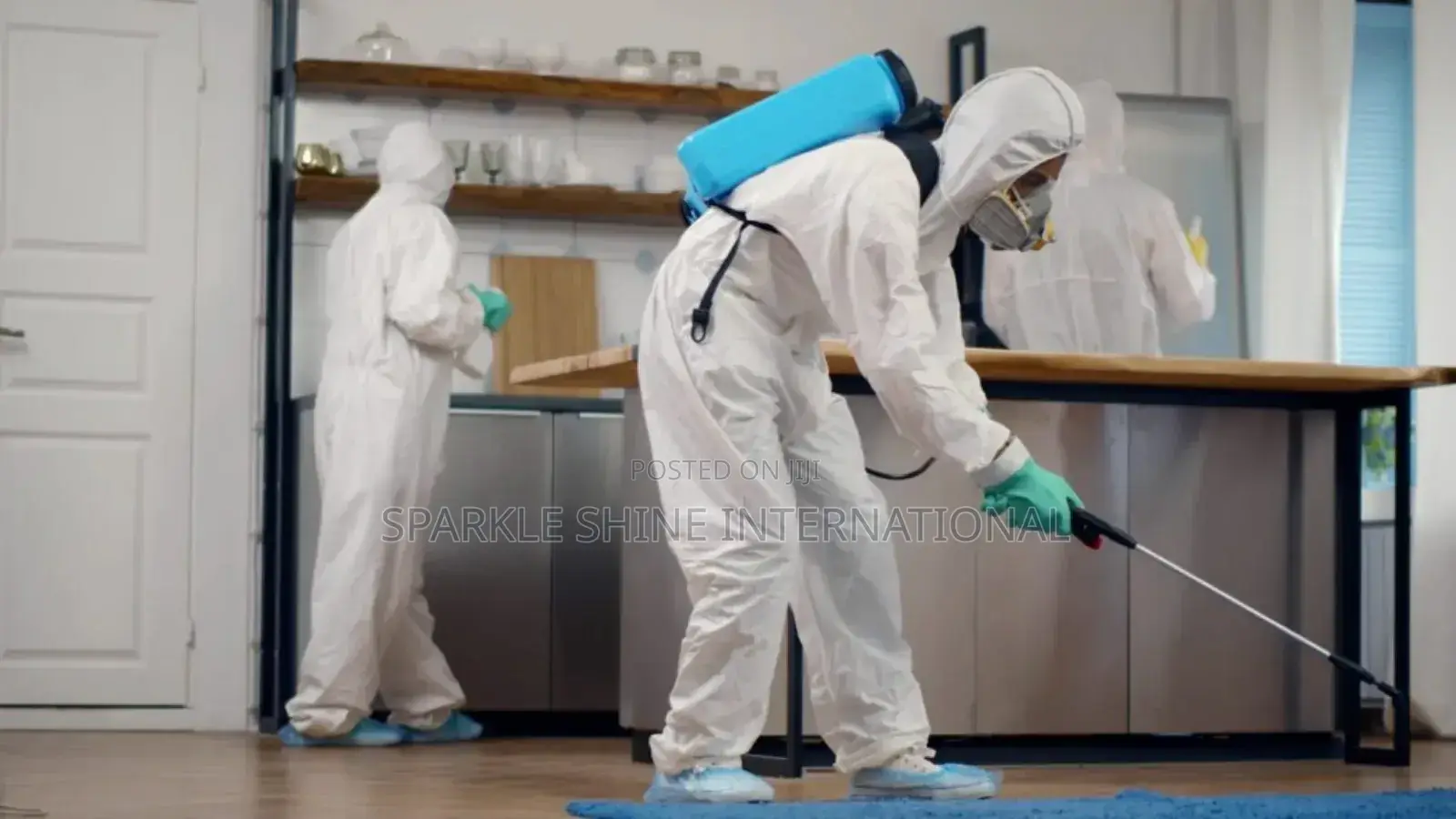 Fumigation and Couch Wash With Rug