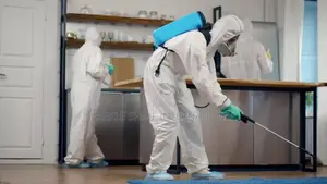 Fumigation and Couch Wash With Rug