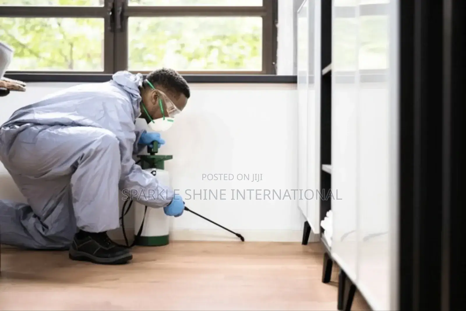 Fumigation and Couch Wash With Rug