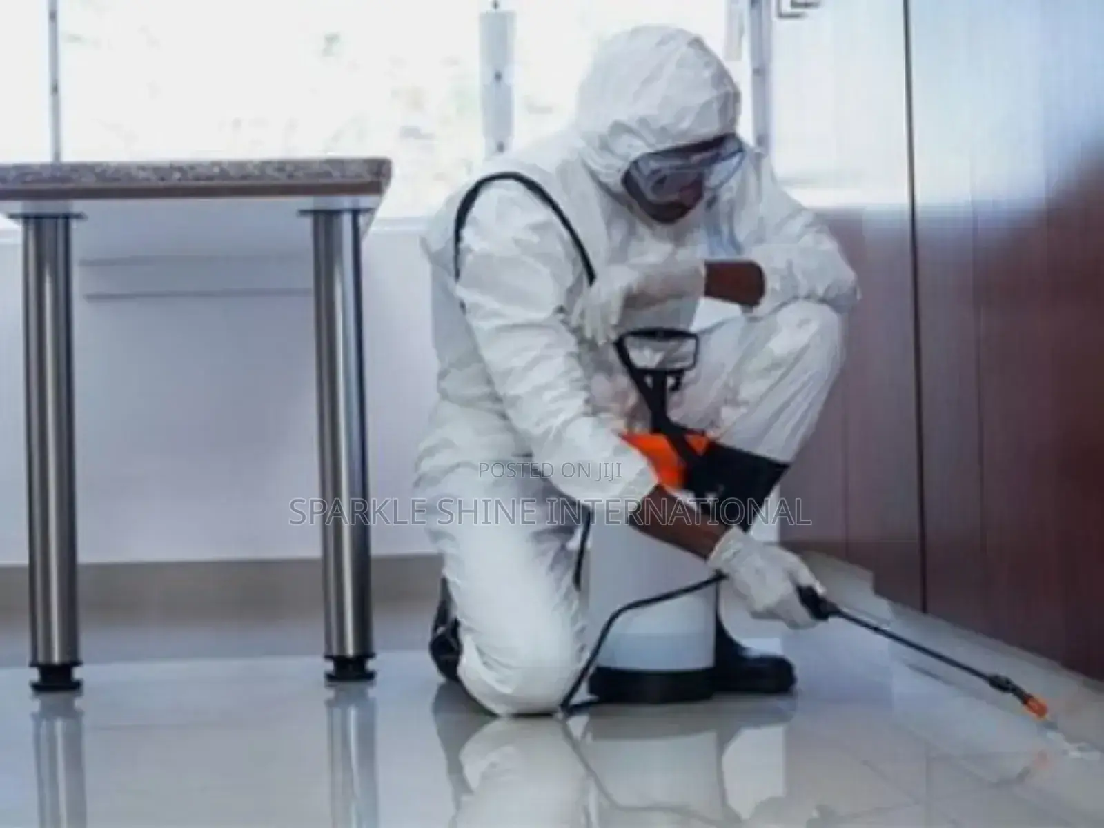Fumigation and Couch Wash With Rug