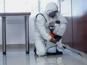 Fumigation and Couch Wash With Rug