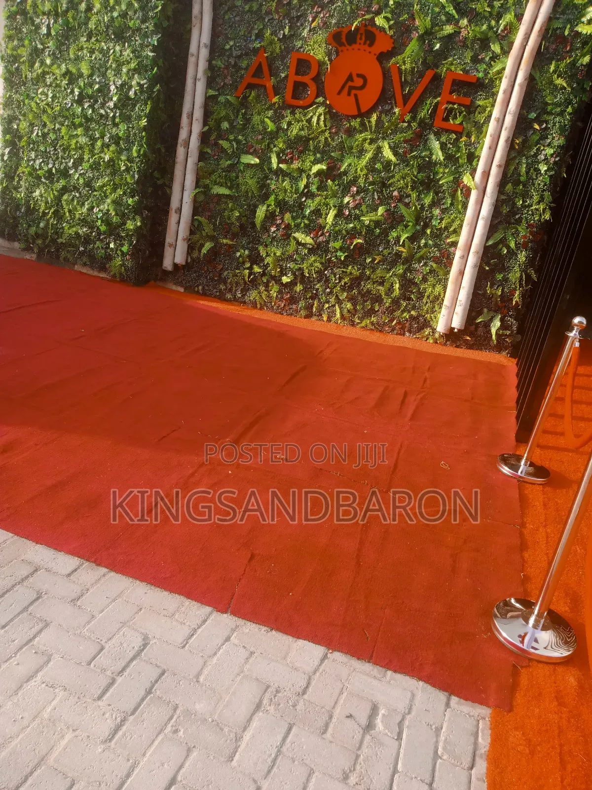 Quality Designer Floorguard Mat And Grass Carpet  Rug.