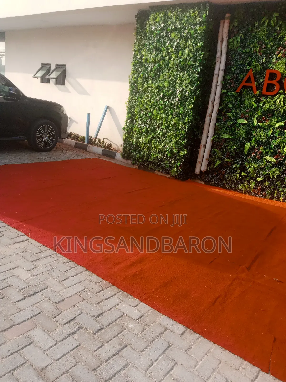 Quality Designer Floorguard Mat And Grass Carpet  Rug.