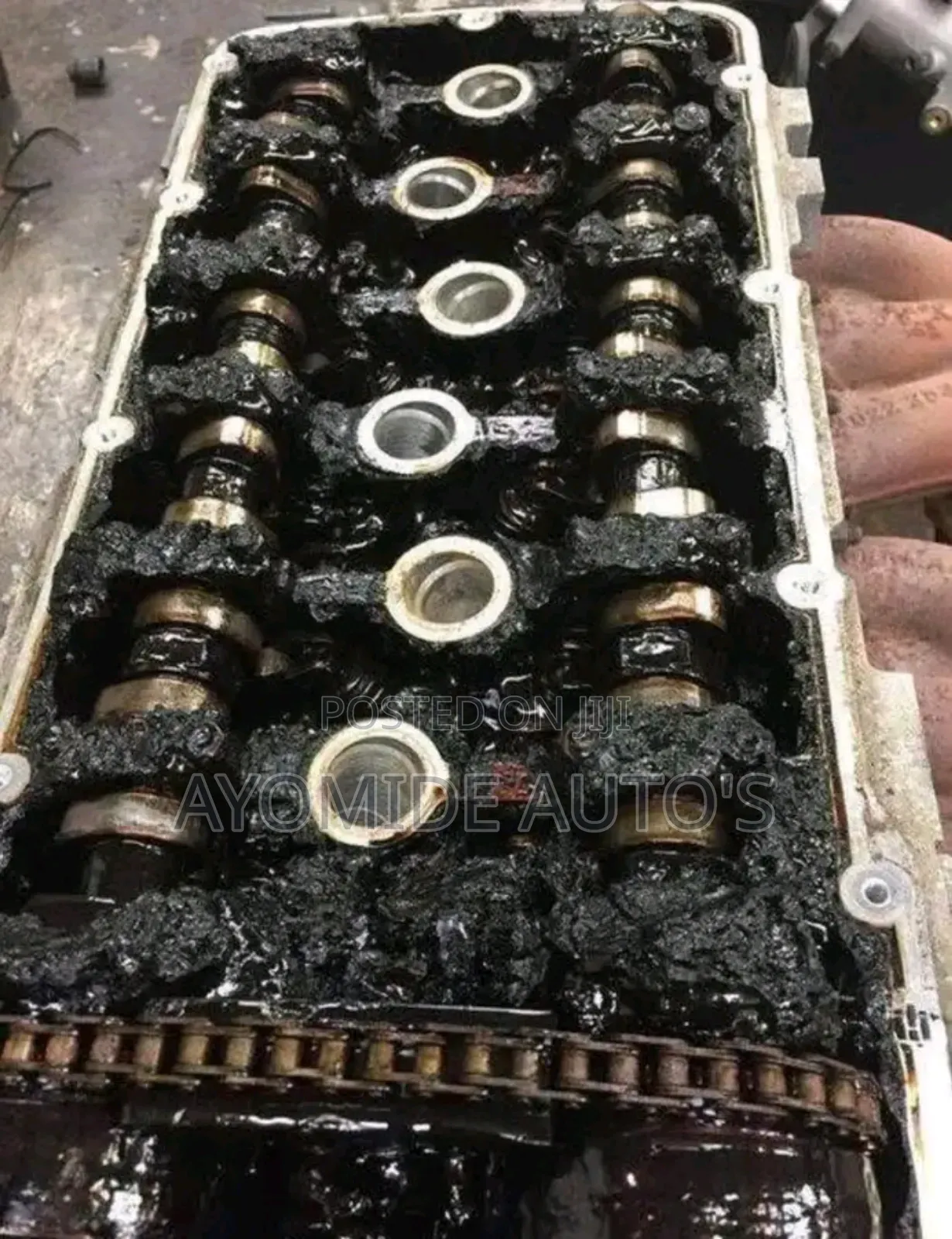 Best Mechanic