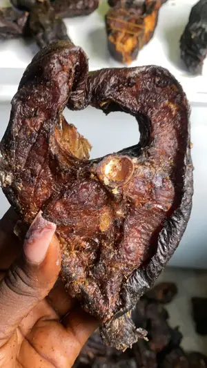 Mangala (Jumbo Asa Fish)