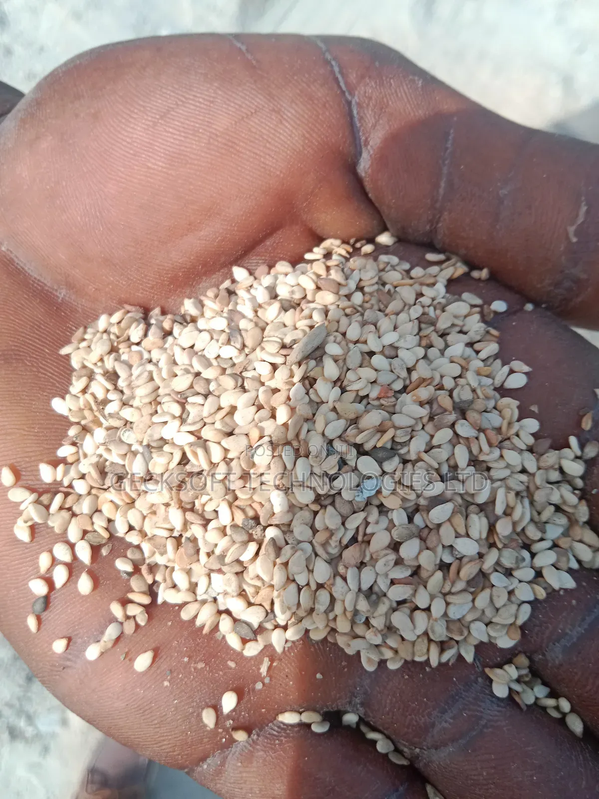 Custom Licensed Clearing Agent Import/Export