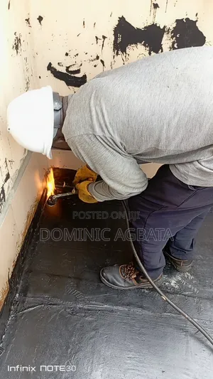 Brisk Waterproofing Expert