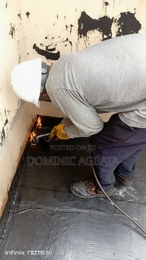 Brisk Waterproofing Expert