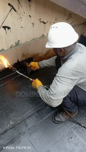Brisk Waterproofing Expert