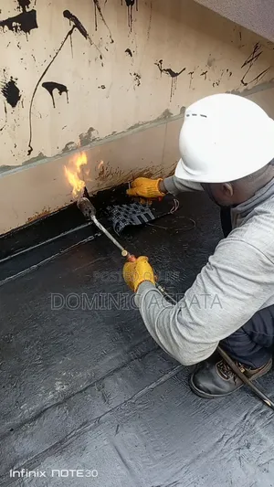 Brisk Waterproofing Expert