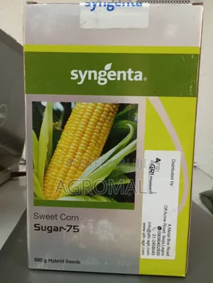 Sweet Corn Seed