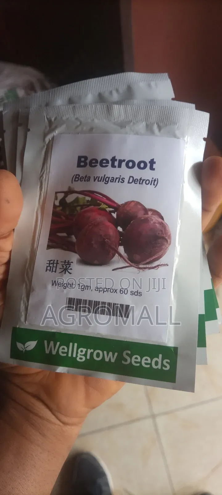 Beetroot Seed