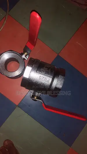 Original Air Valve
