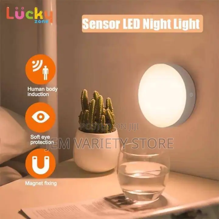 Automatic Motion Censor Nigh Light