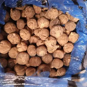 Snot Apple Fruits