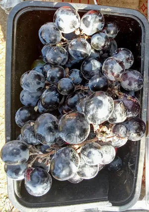 1 Kg of Fresh Grapes