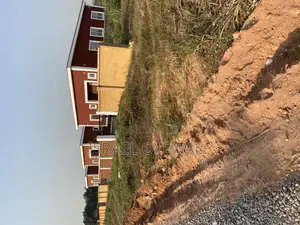 Professional Contractor