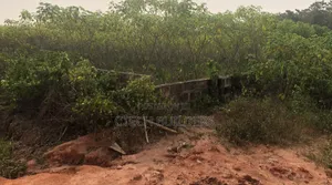Cheap Land for Sale