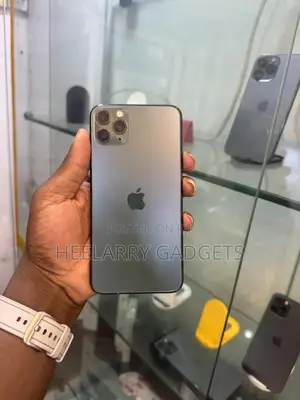 Apple iPhone 11 Pro Max 256 GB Gray