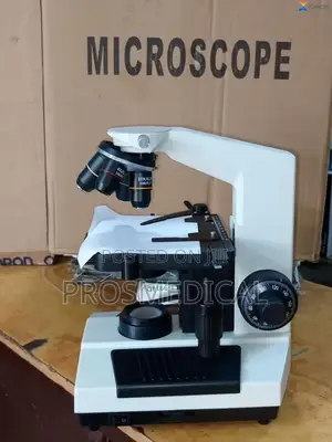 Electronic Microscope