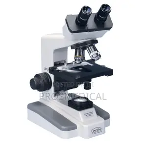 Electronic Microscope