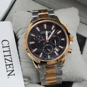Citizen Two Tone Chain Watch