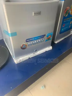 Portable Polystar PV-BS81SL Refrigerator for Sale! 45L
