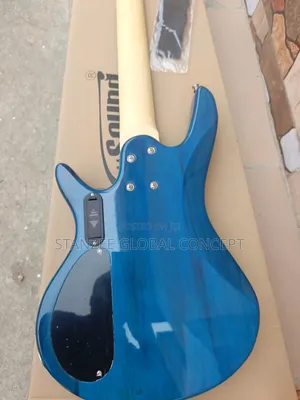 Well Sound 5 Strings Active Bass Guitar